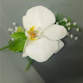 fwthumb525300202_730230929743475_420957360848743789_n (1).jpg